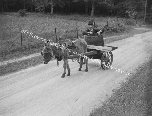 FARMER DONKEY AND WATER CART